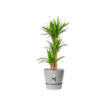 greenville rund 30cm living beton